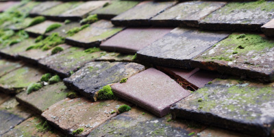 Chipping Ongar roof repair costs